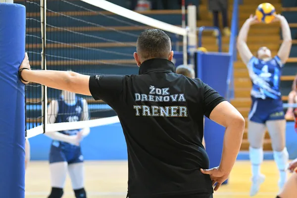 Drazen Vuckovic drazen vuckovic 2